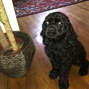 Meet your Posher, Megan